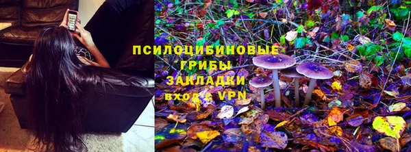 тгк Алзамай