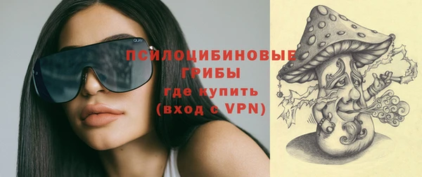 тгк Алзамай