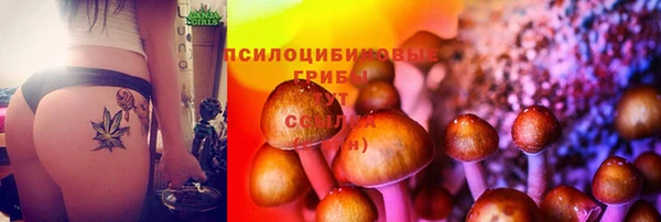кокаин Алексин