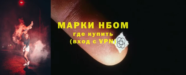 тгк Алзамай