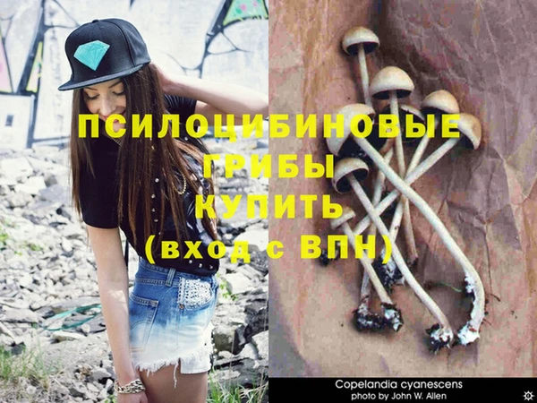 мефедрон Дмитров