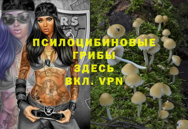 тгк Алзамай