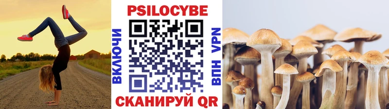 Галлюциногенные грибы MAGIC MUSHROOMS  Котлас 
